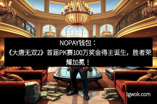 NOPAY钱包：《大唐无双2》首届PK赛100万奖金得主诞生，胜者荣耀加冕！